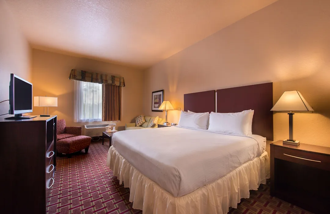 Best Western Tampa-1