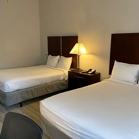 Best Western Tampa-3