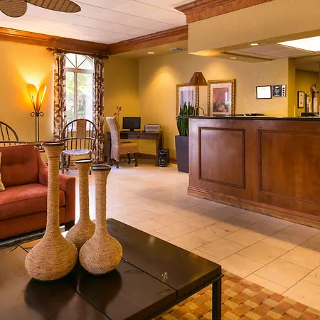 Best Western Tampa-2